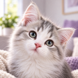 プログラムのアイコン：Cute Cats Wallpaper