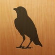 プログラムのアイコン：Blackbird