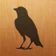 Ikona programu: Blackbird