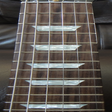 Programın simgesi: Electric Guitar Fretboard…