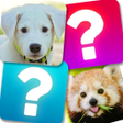 ไอคอนของโปรแกรม: Match Game: Animals