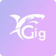 Icoon van programma: GigShark Extension