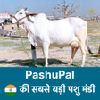 プログラムのアイコン：PashuPal गय भस खरदन बचन