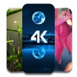 Icon of program: 4K HD Wallpapers - Backgr…