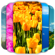 Icon of program: خلفيات للشاشة روعة بدون ن…