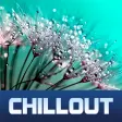ChillOut Record Live Stations