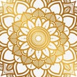 프로그램 아이콘: Mandala Maker 360 Pro