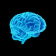 プログラムのアイコン：NeuroVox