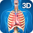 程序图标：Respiratory System Anatom…