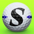 プログラムのアイコン：SmoothSwing
