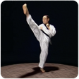 Icoon van programma: Taekwondo Basic Motions