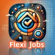 程序图标：Flexi Jobs Match Zone