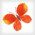 程序图标：Labo Leaves:Art Game for …