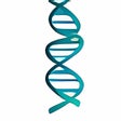 Icon of program: MedBetterDNA