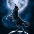 プログラムのアイコン：Wolf Wallpapers Offline