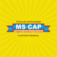 程序图标：MS Cap