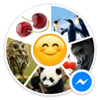 程序图标：Sticker Bliss for Messeng…