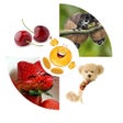 Icon of program: Sticker Bliss for Messenger