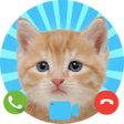 Fake Call from Cat - Prank Cal icon