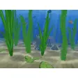 Water Life 3D Screensaver