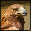 Ikon program: Eagle Hunting Journey