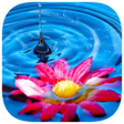 أيقونة البرنامج: 153 Photo Crosswords