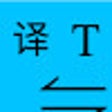 Partial Page Translation icon