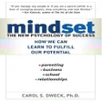 Icône du programme : Mindset