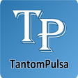 プログラムのアイコン：TANTOM PULSA