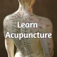 プログラムのアイコン：Acupuncture Points In Ful…