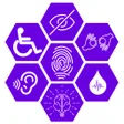 程序图标：Satara District Divyang S…
