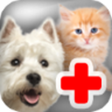 程序图标：Kids Pet Vet Doctor