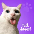 Icon of program: Talking Animals - Funny V…