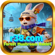 Ícone do programa: r38.comForest Mushroom Ra…