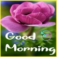 Icône du programme : Good Morning Flowers GIF