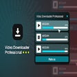 Video Downloader Professional