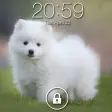 Puppy Dog Pin Lock Screen