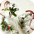 程序图标：DIY Christmas Decorations