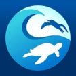 Ikona programu: Clean Swell