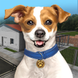 Ícone do programa: Animal Shelter Simulator