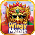 ไอคอนของโปรแกรม: Wingy Merge