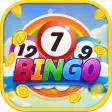 Bingo Show: Online Fun