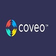 程序图标：Coveo Request Checker