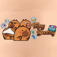 Icon of program: TapyBuddy