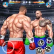 Icon of program: Real Robot Ring Fighting …