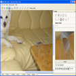 プログラムのアイコン：Retouch pilot lite