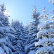 Icon of program: Winter Sound comfortable …