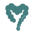 Icône du programme : Belly Balance