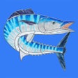 Ikona programu: Wahoo VPN