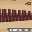 プログラムのアイコン：Marimba Xylophone Vibraph…